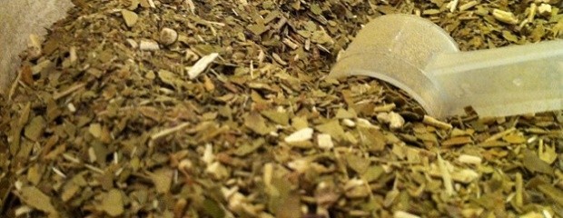 Exportaciones récord de yerba mate en 10 meses