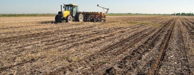 Detectan crecimiento de los contrastes presentes en el agro
