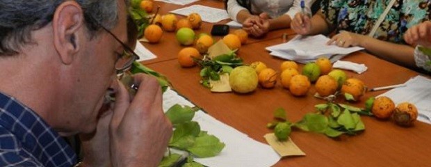 Curso de Inspectores de Empaque de Cítricos de exportación