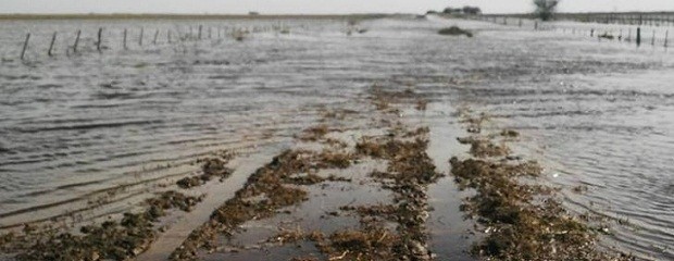 Declaran la emergencia en zonas afectadas por inundaciones