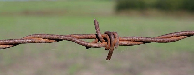 El valor de los campos continuó su curva descendente