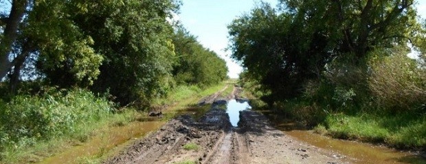 Vialidad avanza con tareas de conservación de caminos