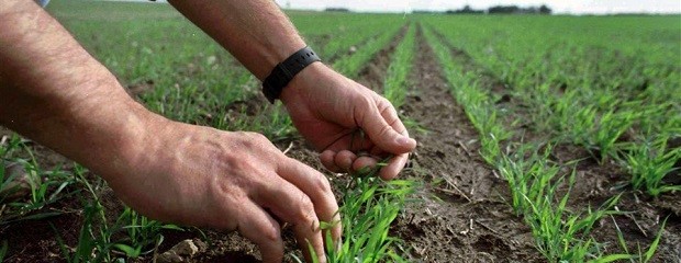 Buscan generar condiciones para potenciar la agroecologia