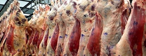 La exportaciones de carne bovina en enero aumentaron un 16%