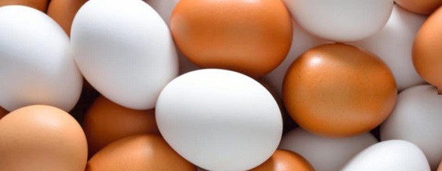 ¿Cómo saber si un huevo es seguro para su consumo?
