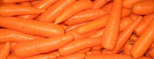  Crean biocombustible con desechos de la zanahoria