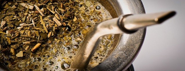 La yerba mate ayuda a prevenir el desarrollo del Parkinson