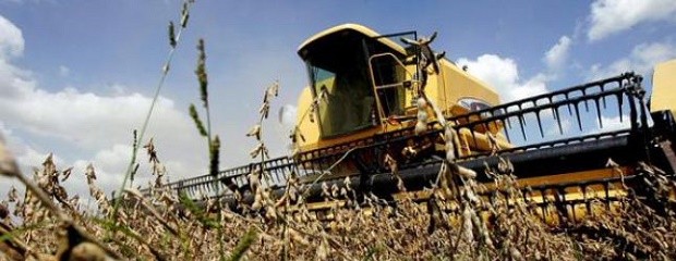 Dos de cada tres empresas del agro invertirán este año