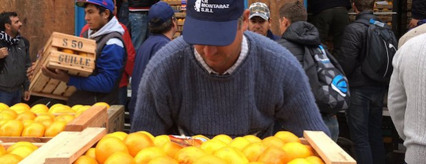 Regalaron 30 mil kilos de peras, manzanas y cítricos