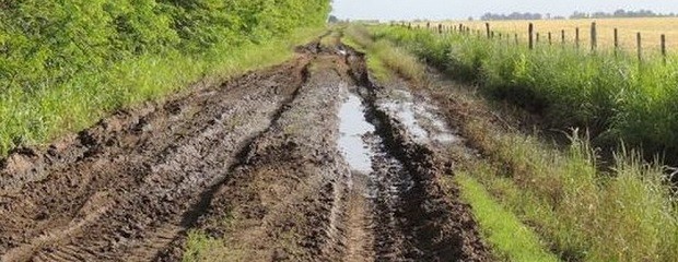 Vialidad informó sobre la situación de la red caminera