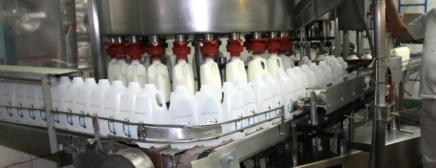 Grandes industrias lácteas comenzaron a perder más dinero 