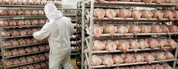 Avícolas acordaron un aumento del 30% en tres tramos