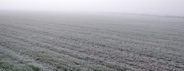 Se esperan heladas y precipitaciones en gran parte del país