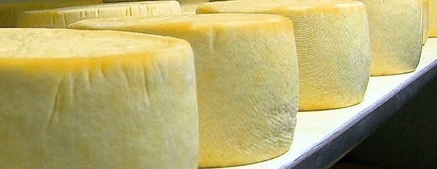 Los precios de quesos en fábrica ya subieron un 8% en mayo