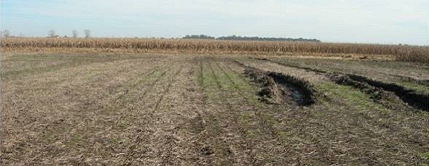 Mojoran las condiciones del tiempo para el centro y norte