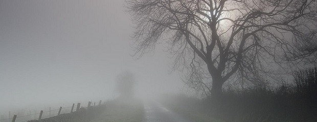 Semana sin lluvias, pero algunos días habrá niebla