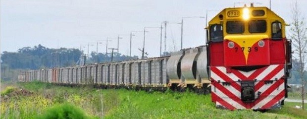 El transporte de carga en trenes creció casi 20% 