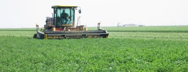 Argentina con políticas del agro más extorsivas del mundo