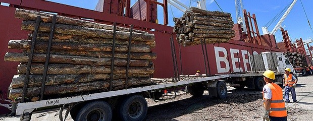 Entre Ríos exportó 300.000 toneladas de madera en seis meses