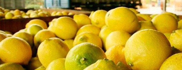 Partió la primera tanda de limones argentinos a la India