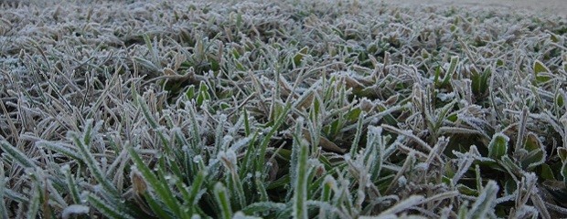 Quedan dos días de heladas y luego ascenso de temperaturas