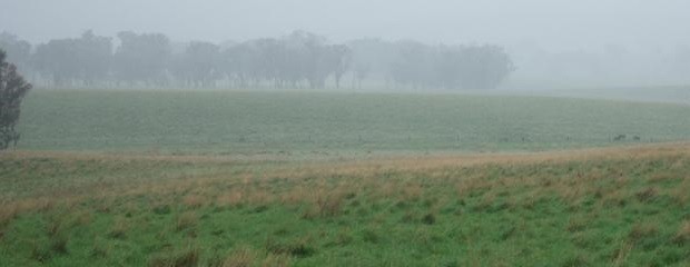 El pronóstico anticipa lluvias para la región oeste del país