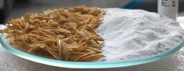 Con cascarilla y rastrojo producen un derivado de alto valor