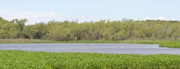 La bajante del Paraná ya es récord y podría agudizarse