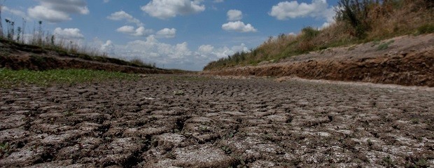 Alarma en Entre Ríos por la falta de agua en los suelos
