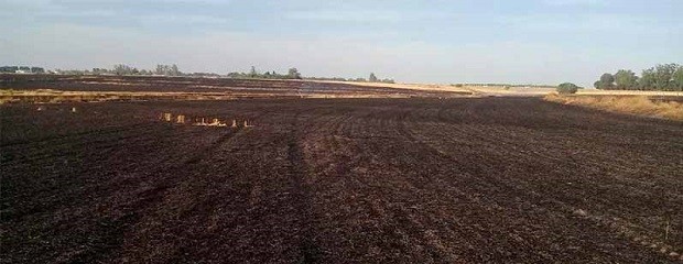 Incendio arrasó más de 30 hectáreas con rastrojo de trigo