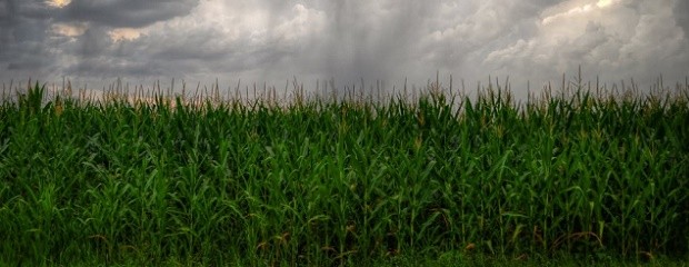 Las lluvias continuarían esta semana 