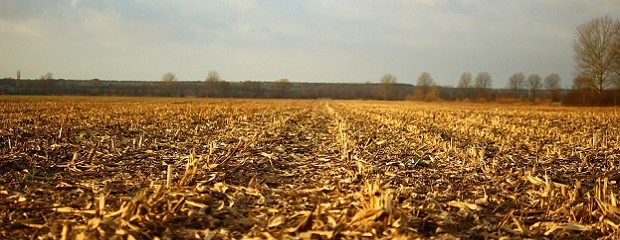 Mayo termina con lluvias: qué se espera para el invierno