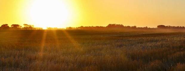 La tendencia de año Niña impactará sobre cultivos de verano