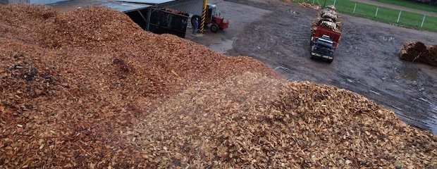 Chips de madera: de descarte a materia prima