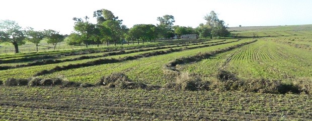 Ambiente primaveral, con tiempo estable  