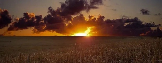 Cuál es la tendencia de lluvia y temperatura en zona núcleo