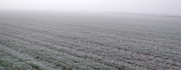 Tras el veranito de San Juan, pronostican invierno riguroso
