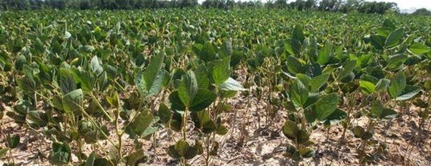  “La Niña”, su impacto comenzaría a partir de octubre