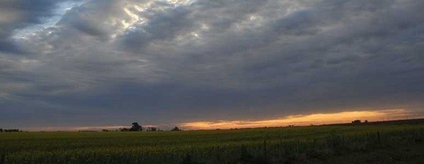 Algunas lluvias modestas y un breve pulso frío