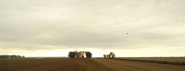 Ambiente propio del otoño: cuándo llegarán las lluvias