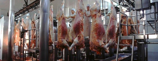 El precio de exportaciones de carne aumentaron más del 27%