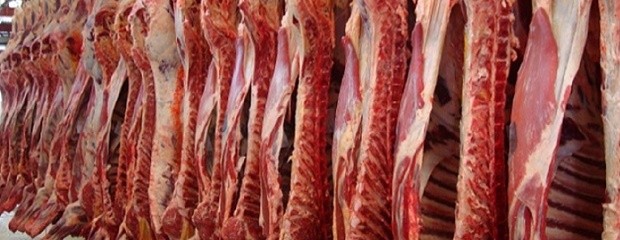 Carne vacuna: Aumenta el peso de faena y crece la producción