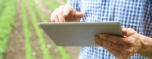 Nueve de diez productores usan aplicaciones y plataformas