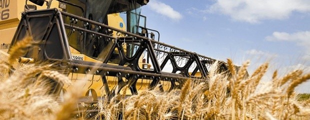 Heladas y sequía recortan al trigo en 1,5 millones toneladas