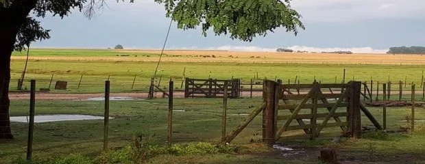 Lluvias y descenso de temperatura para las próximas semanas