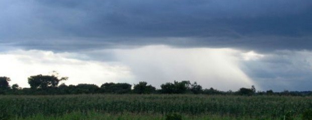 Las lluvias de marzo mejoraron una amplia región del centro