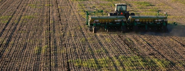 Se largó la siembra de trigo en Entre Ríos