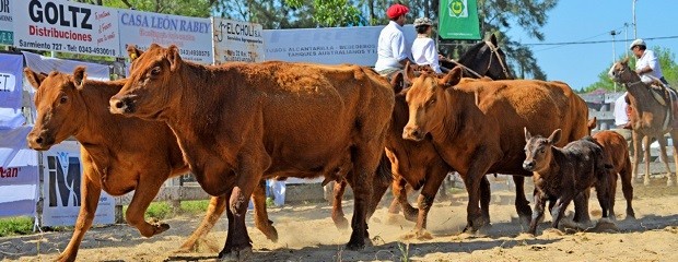 Se acentúa atraso de precios de hacienda en términos reales