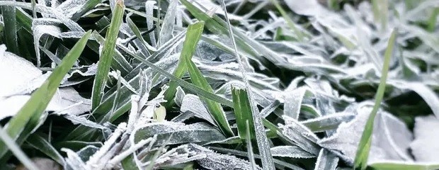 Semana fría, pero qué pasará con las lluvias