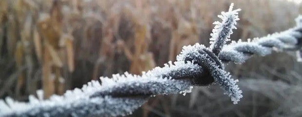 Doce provincias registraron temperaturas bajo cero